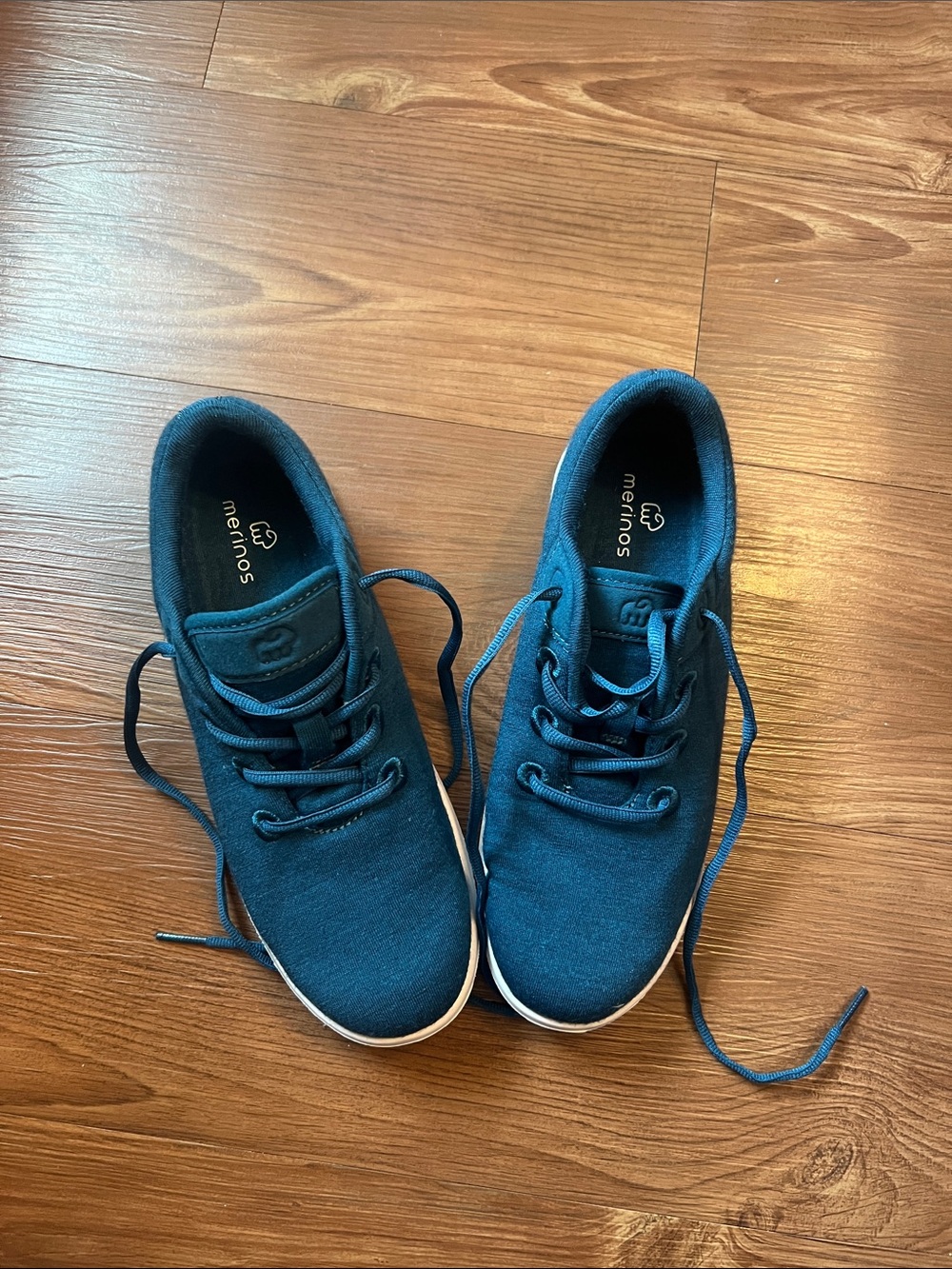 Merinos Women's Knit Lace-Up Sneakers in Teal